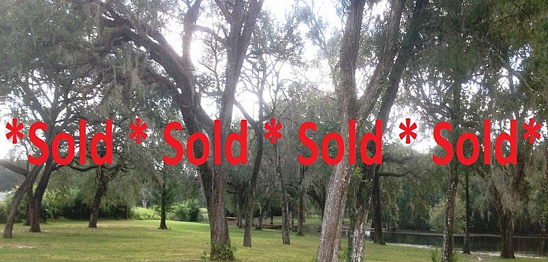 17.5 Acres Phillips Road Stable + Pole Barn Fenced for Horses, Masaryktown, Hernando County, Fl  $310K Sold